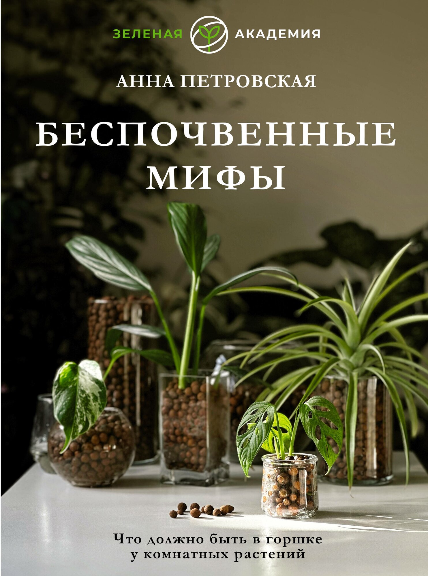 Что должно быть в горшке у комнатных растений. Беспочвенные мифы Петровская А. В.