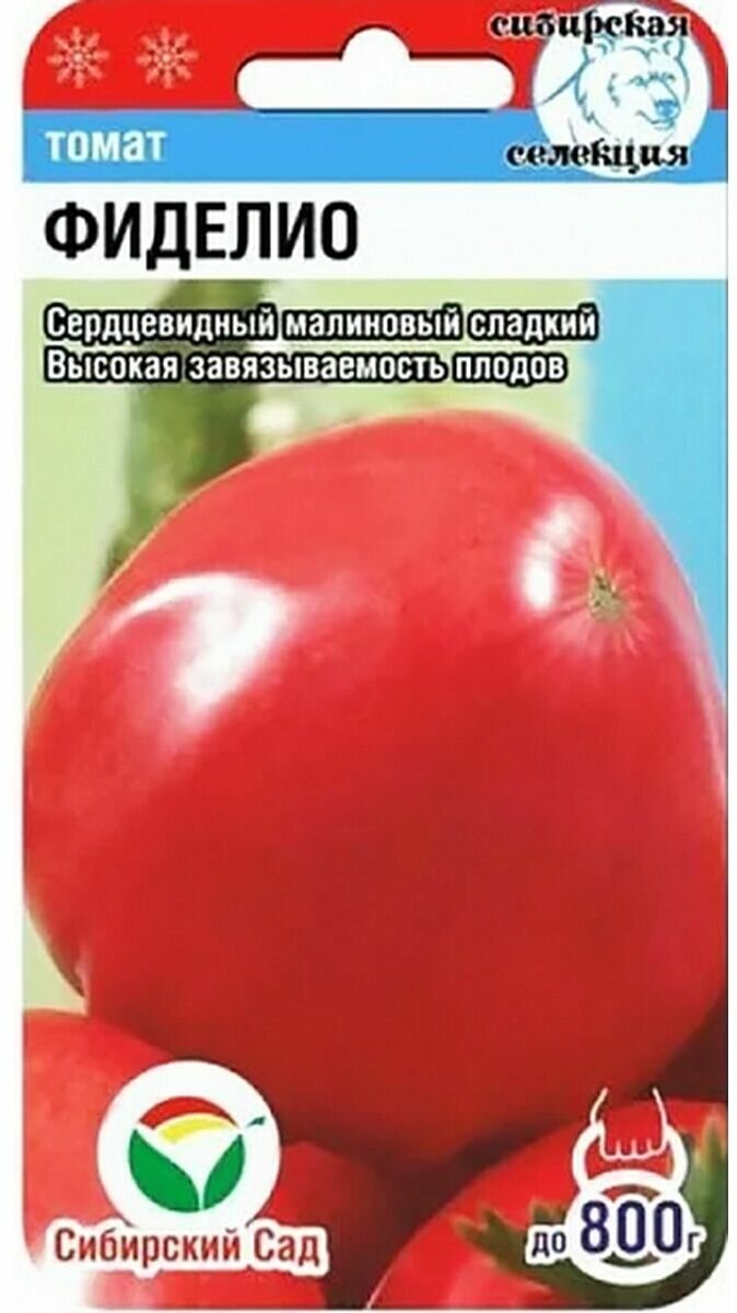 Семена Томат 