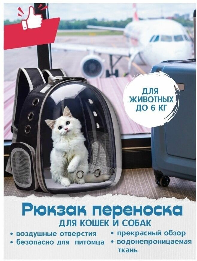 Рюкзак переноска для собак и кошек с иллюминатором / Ранец для животных с панорамным видом Morento черный - фотография № 1