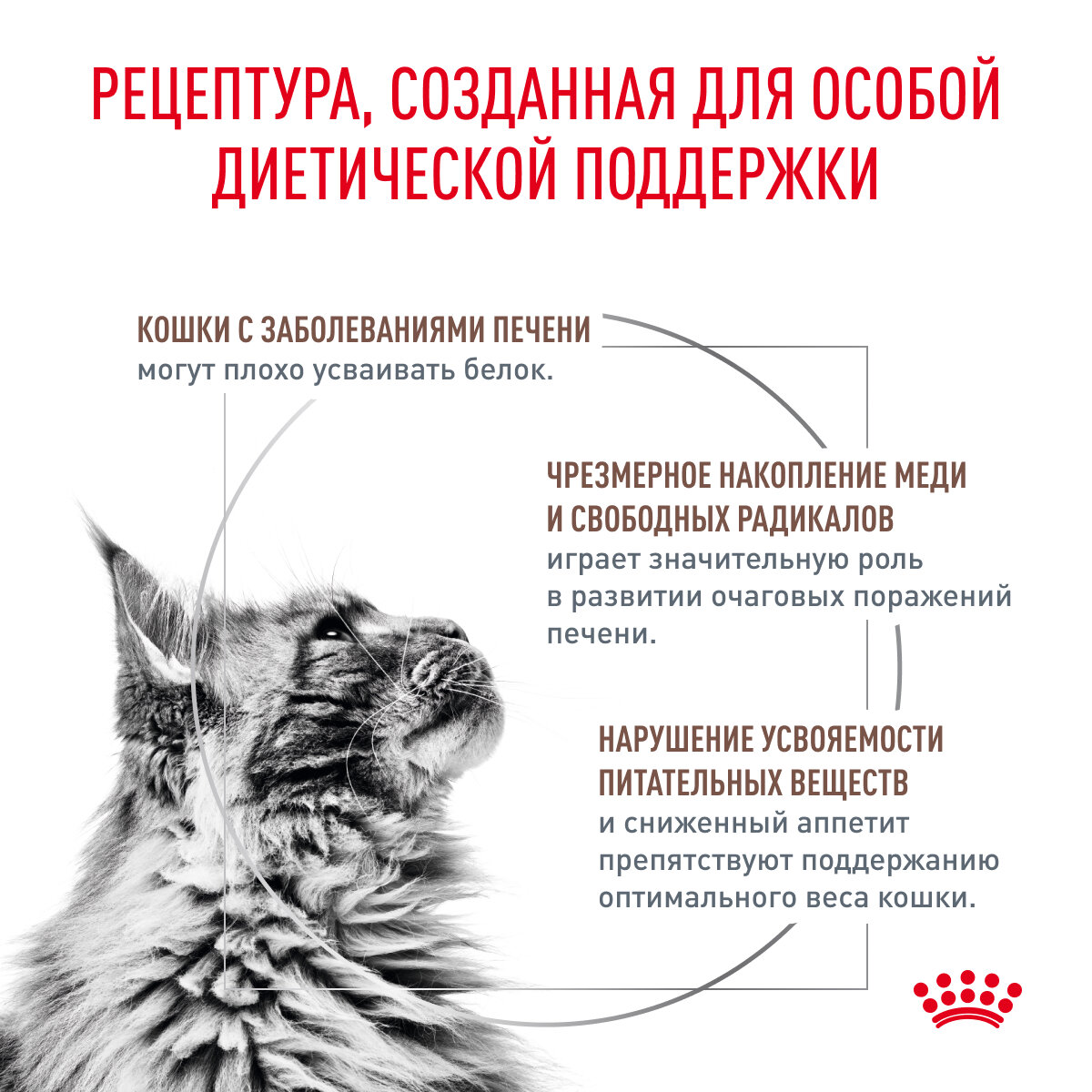 Корм для кошек ROYAL CANIN - фото №3