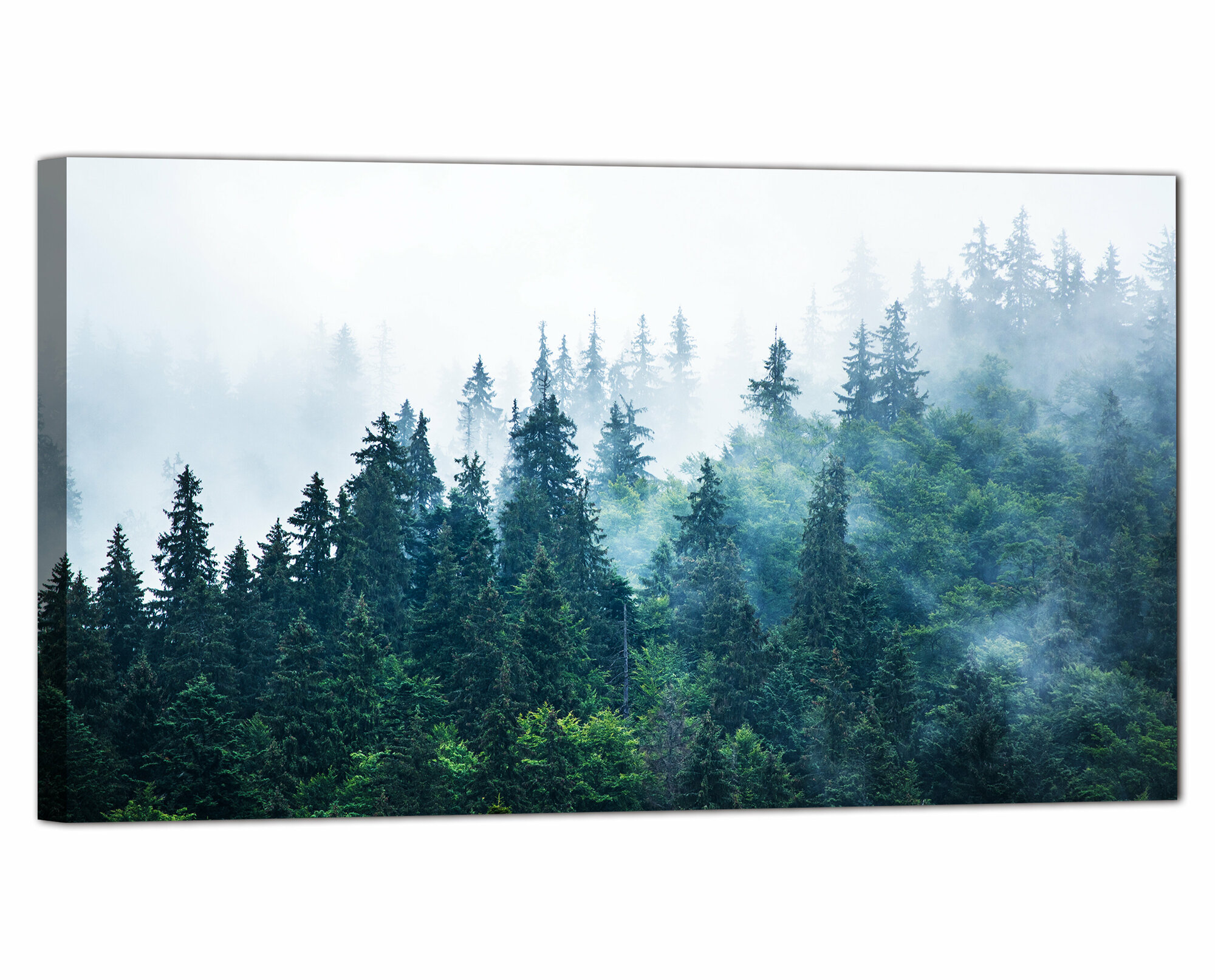 Большая картина на холсте для интерьера "Лес / Туман / Туман в лесу" 60х100 см. Ф0016 Крепления в подарок