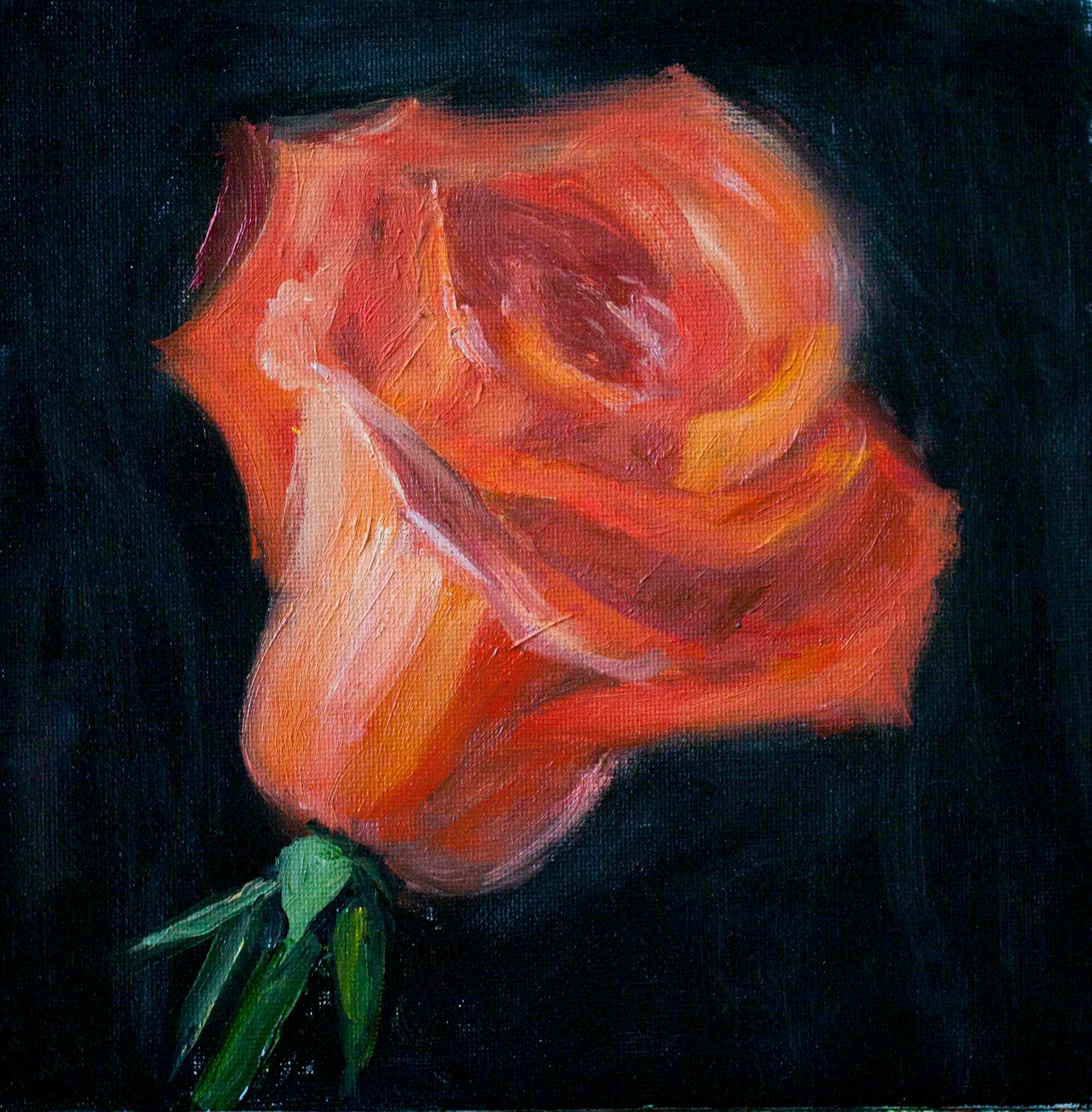 Картина маслом "Роза" 20х20