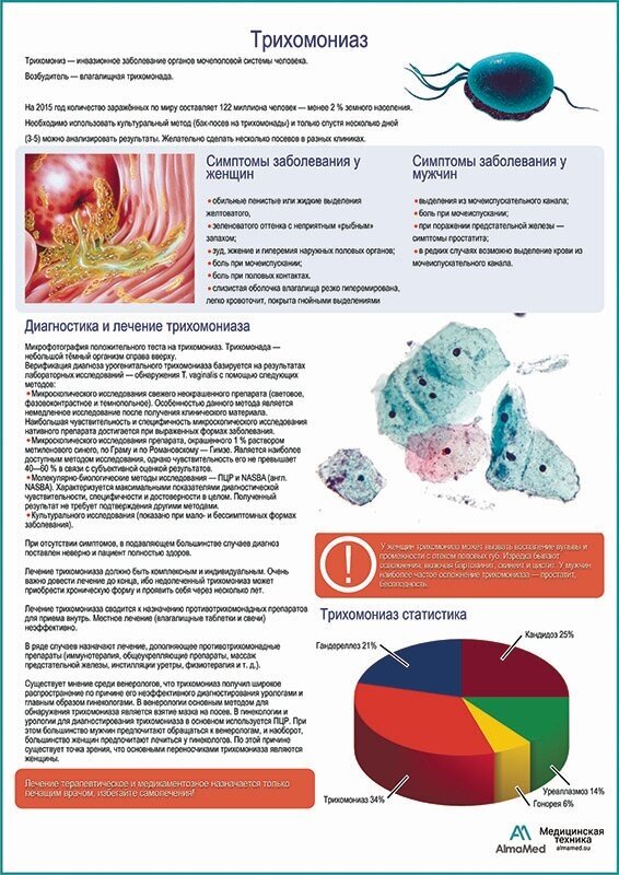 Трихомониаз медицинский плакат матовый холст от 200 г/кв. м, размер A1+