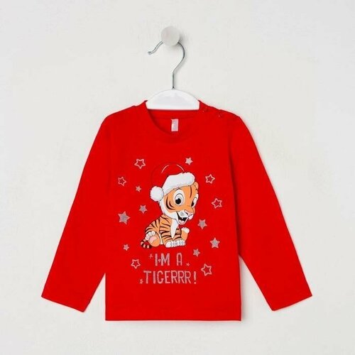 фото Лонгслив , размер 62, красный нет бренда