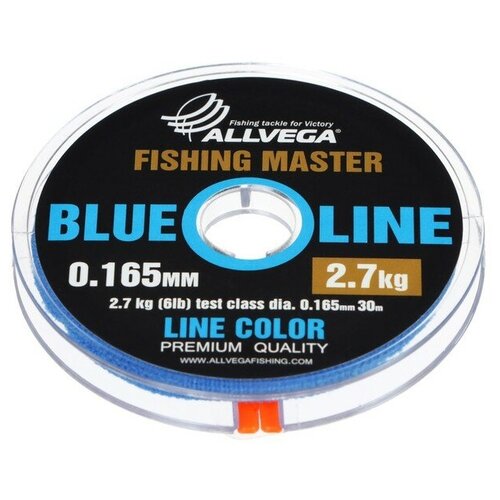 фото Леска монофильная allvega "fishing master" 30м 0,405мм, 12,5кг, голубая