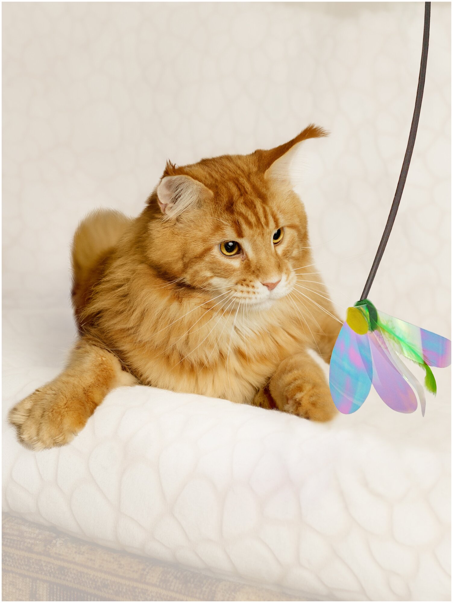 Игрушка-Удочка для кошек Japan Premium Pet в виде птички, с функцией возбуждения трех инстинктов охотника. - фотография № 1