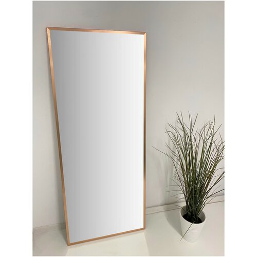 Интерьерное зеркало настенное 163/66 в алюминиевой раме цвет 