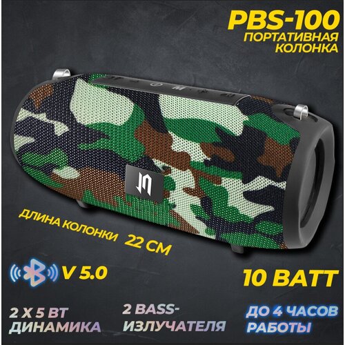 Портативная акустическая система Jeta PBS-100 173800₽