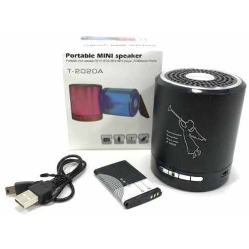 Портативная колонка T-2020 94100₽