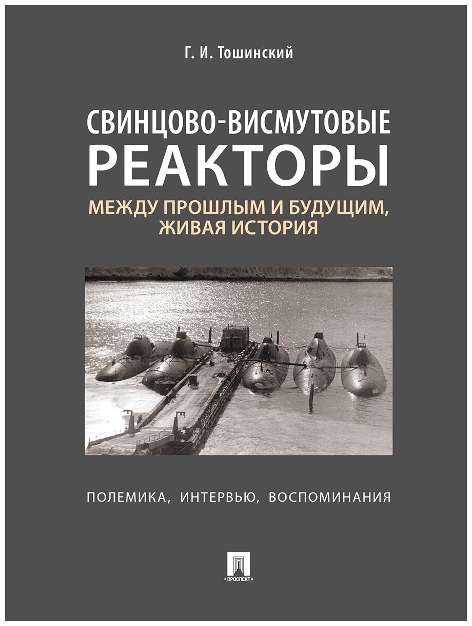 Свинцово-висмутовые реакторы. Между прошлым и будущим, живая история. Полемика, интервью - фото №1