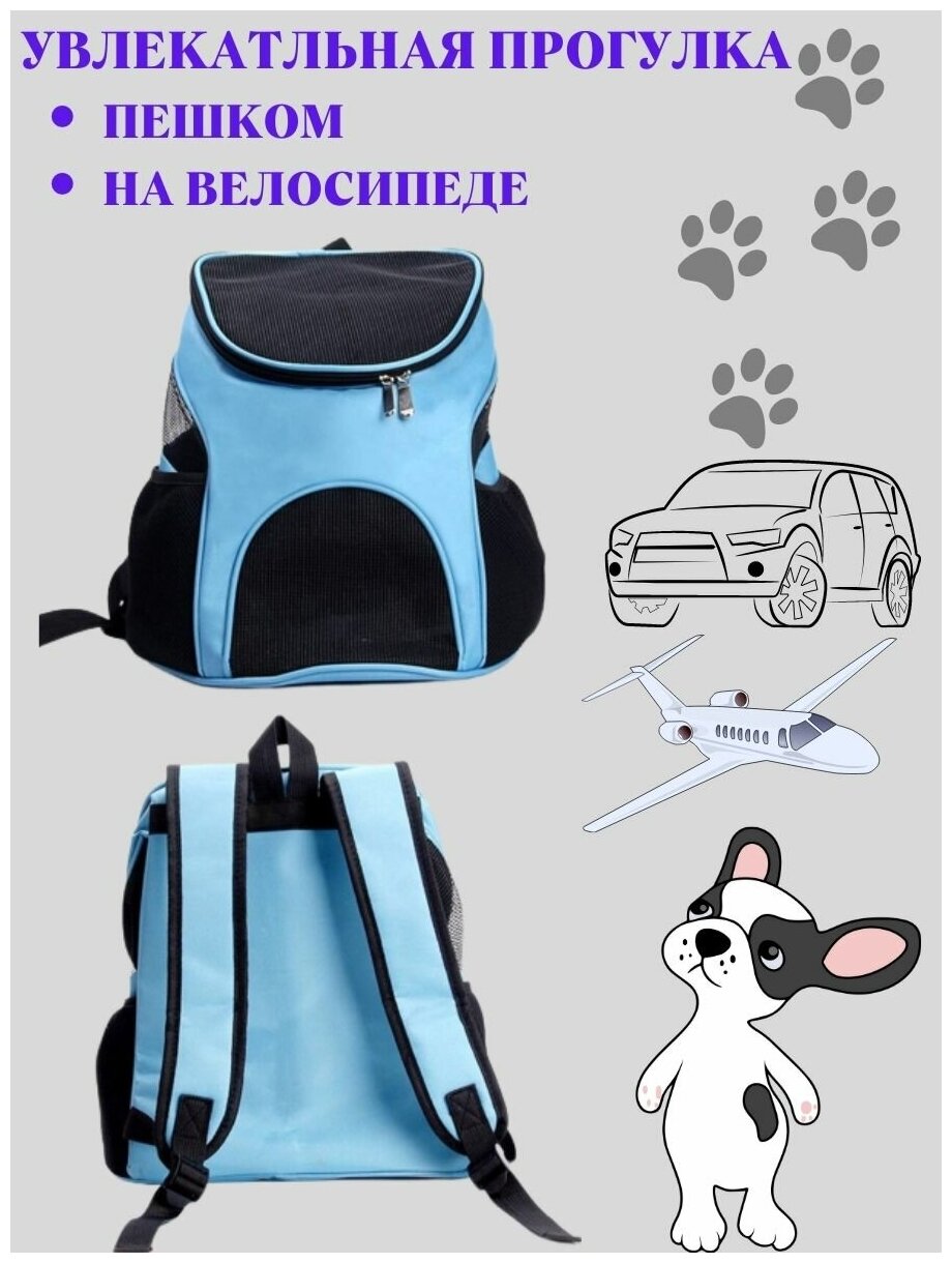 Переноска рюкзак для кошек и собак малых пород, размер S, переноска для животных - фотография № 2