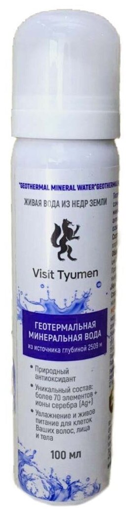 Термальная вода Visit Tyumen, 110 мл.