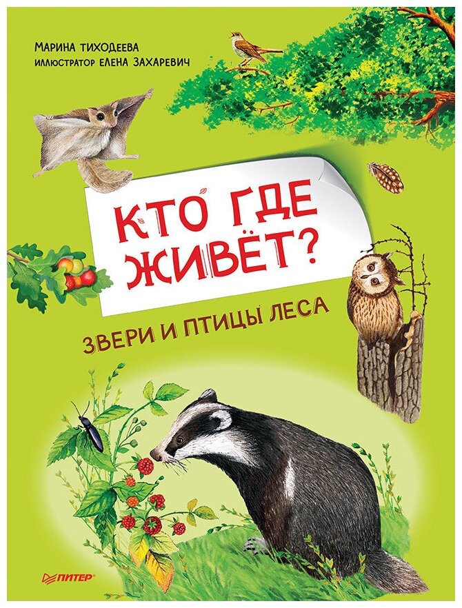 Кто где живёт? Звери и птицы леса