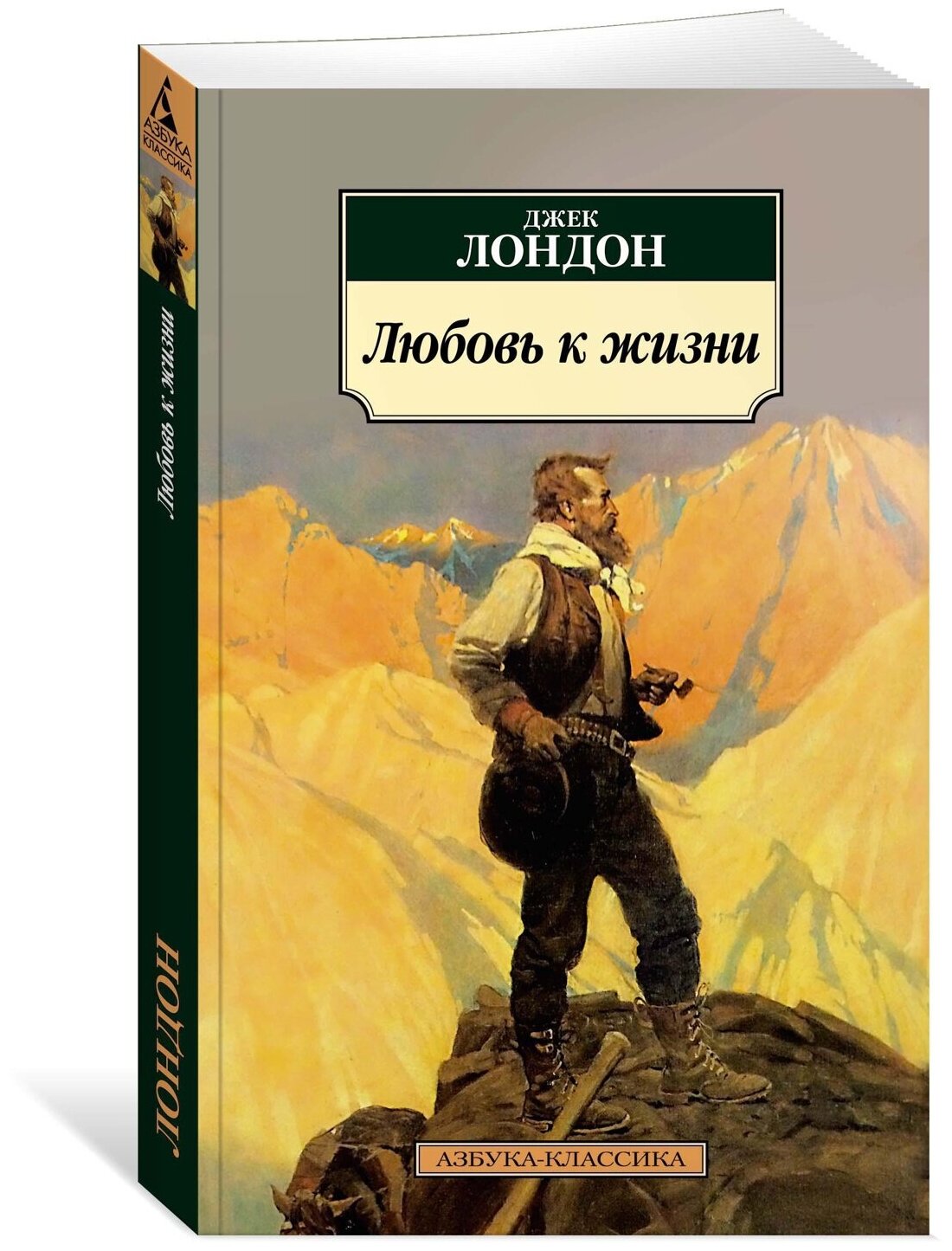 Книга Любовь к жизни