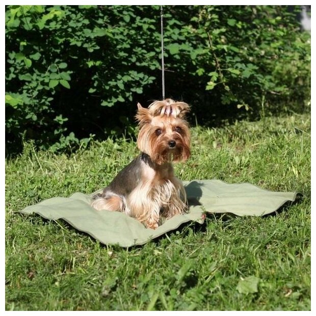 Охлаждающий коврик для собак Osso Fashion M, размер 50х70см.
