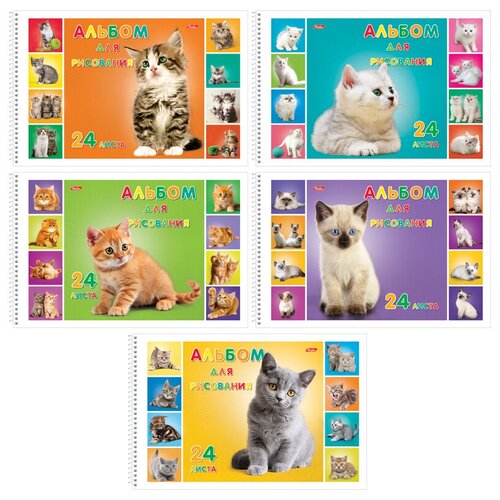 Альбом для рисования Хатбер 24л. А4 на спирали Милые котята альбом для рисования а4 милые котята
