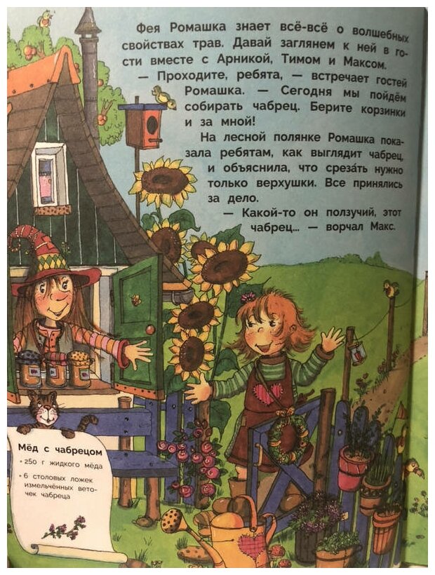В гостях у феи Ромашки (Детская художественная литература) - фото №5