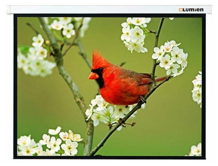 Настенный экран Lumien Master Picture 153х203 см