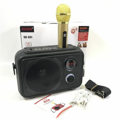 Портативная колонка караоке SDRD SD-501 563200₽