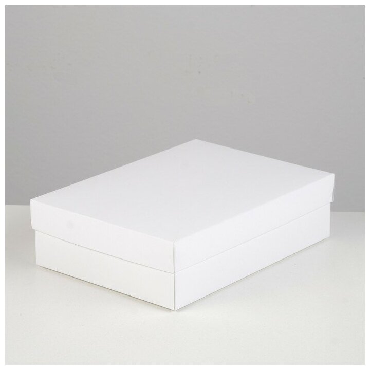 Коробка картонная без окна, белый, 21 х 15 х 5 см, набор 5 шт 7917208