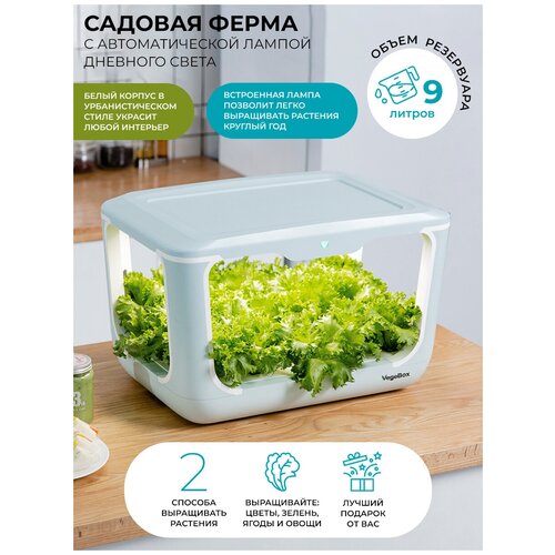 Домашняя Садовая ферма Vegebox L-box