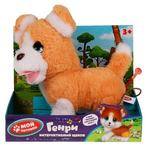 Интерактивный щенок Пляцковский М.С. Генри 22см ходит,на пульте-поводке (HTL2554)