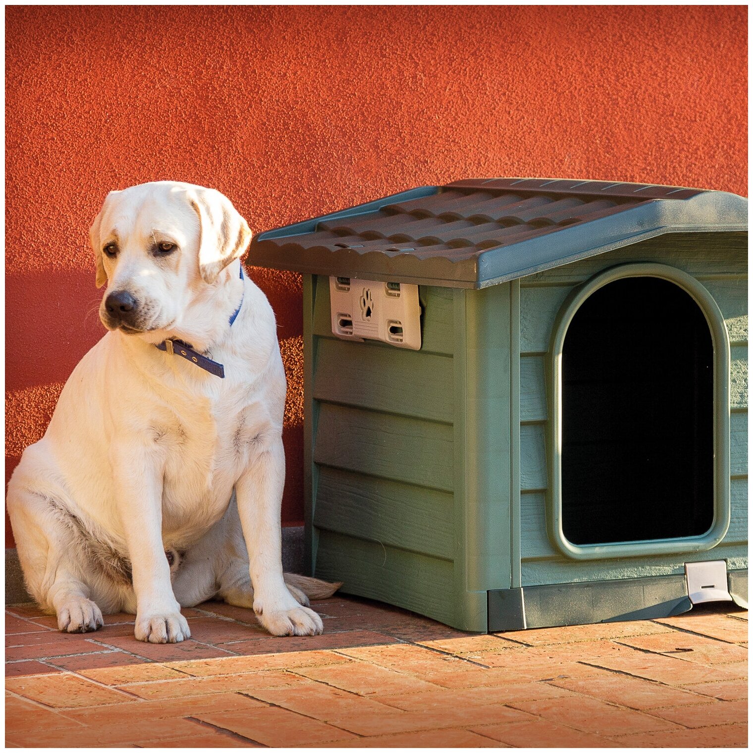 Будка для собак Bama Pet Bungalow M зеленый пластик 89 х 75 х 62 см (1 шт) - фотография № 8