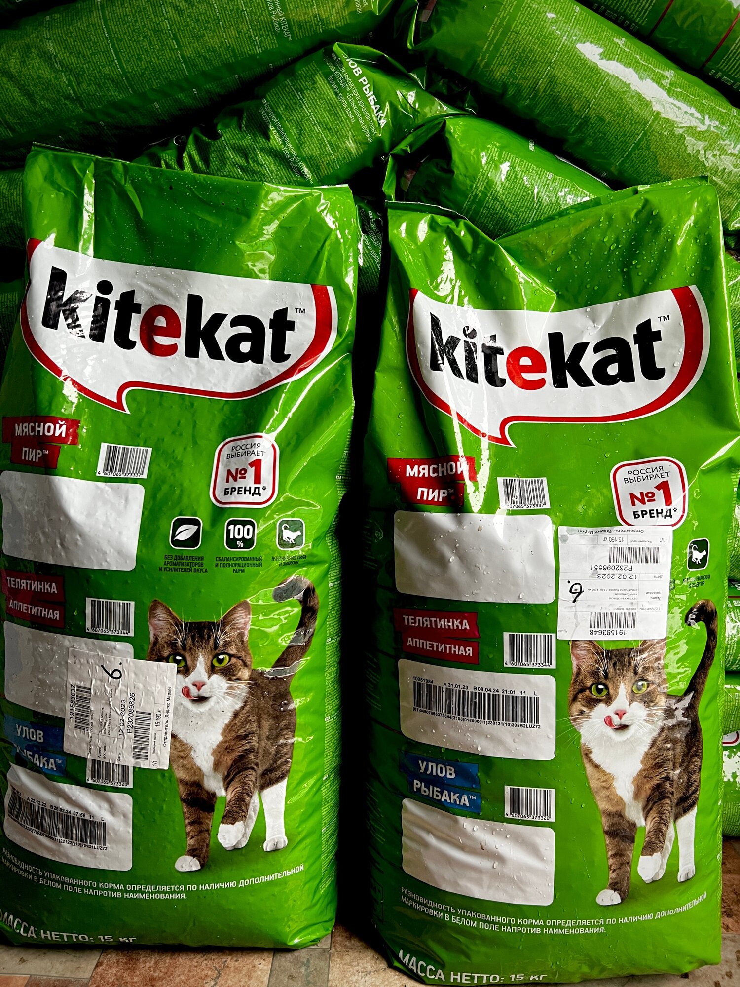 Kitekat rust cheat фото 36