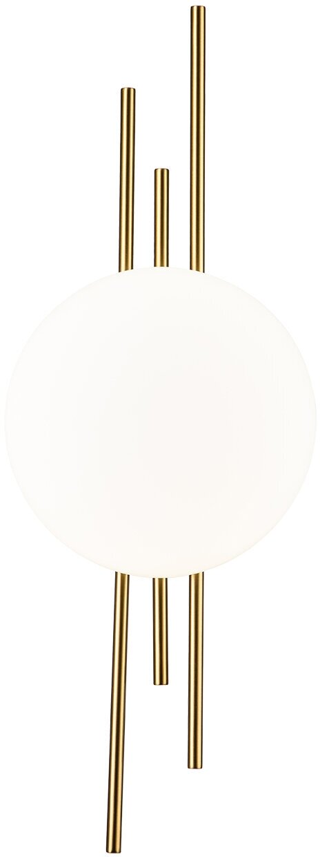 Настенный светодиодный светильник Indigo Astro 14007/1W Brass V000044L - фото №1