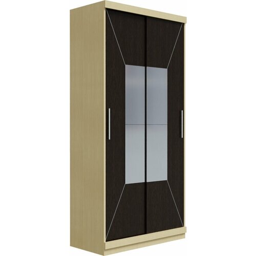 Шкаф-купе Салхай корпус ЛДСП+зеркало размер 220/100/40