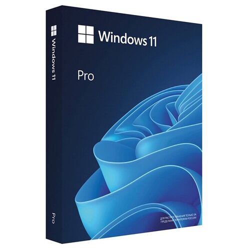 Microsoft Windows 11 Professional 32-bit/64-bit Eng Intl USB microsoft office 2010 professional 32 bit x64 english non eu efta dvd