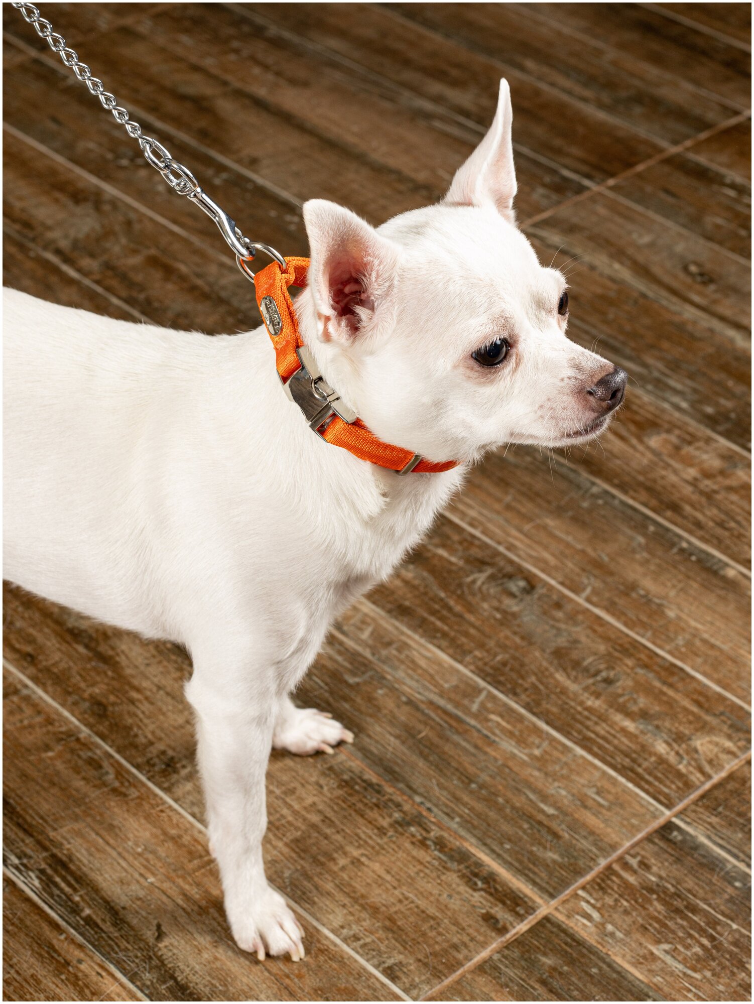 Воздушный ошейник Japan Premium Pet для активных и серьёзных собак, размер S (цвет: оранжевый) - фотография № 7