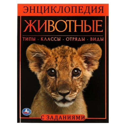 Животные. Энциклопедия А4. 48 стр. павлинов игорь яковлевич животные