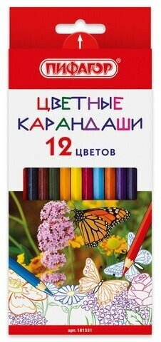 Карандаши цветные пифагор "бабочки", 12 цветов, классические заточенные, 181351