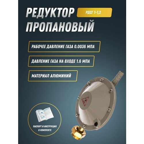 Редуктор пропановый РДСГ 1-12 563₽