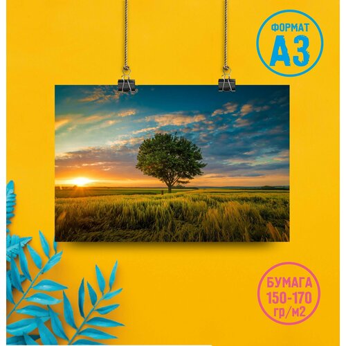 Плакат на стену 