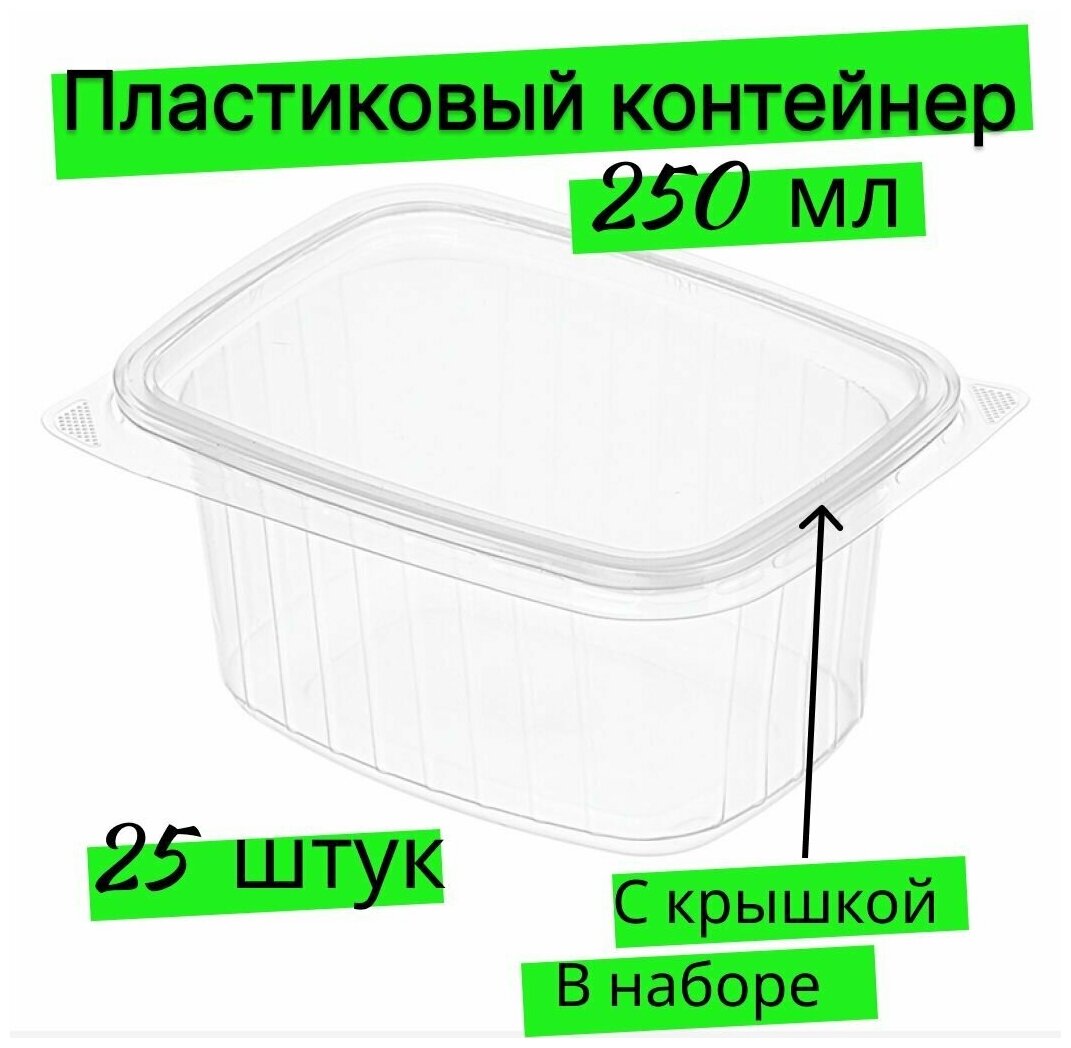 Контейнер одноразовый с крышкой набор пластиковой посуды пищевой прозрачный ланчбокс разовая емкость пластмассовый лоток для хранения и заморозки