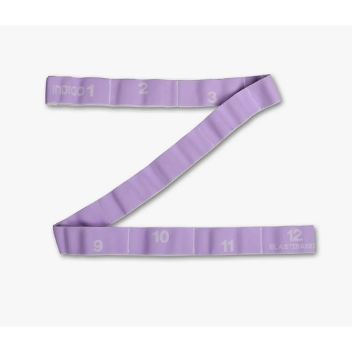 Эспандер Лента эласт замкн с 12 захватами INDIGO MEDIUM 1274см IN149 683₽