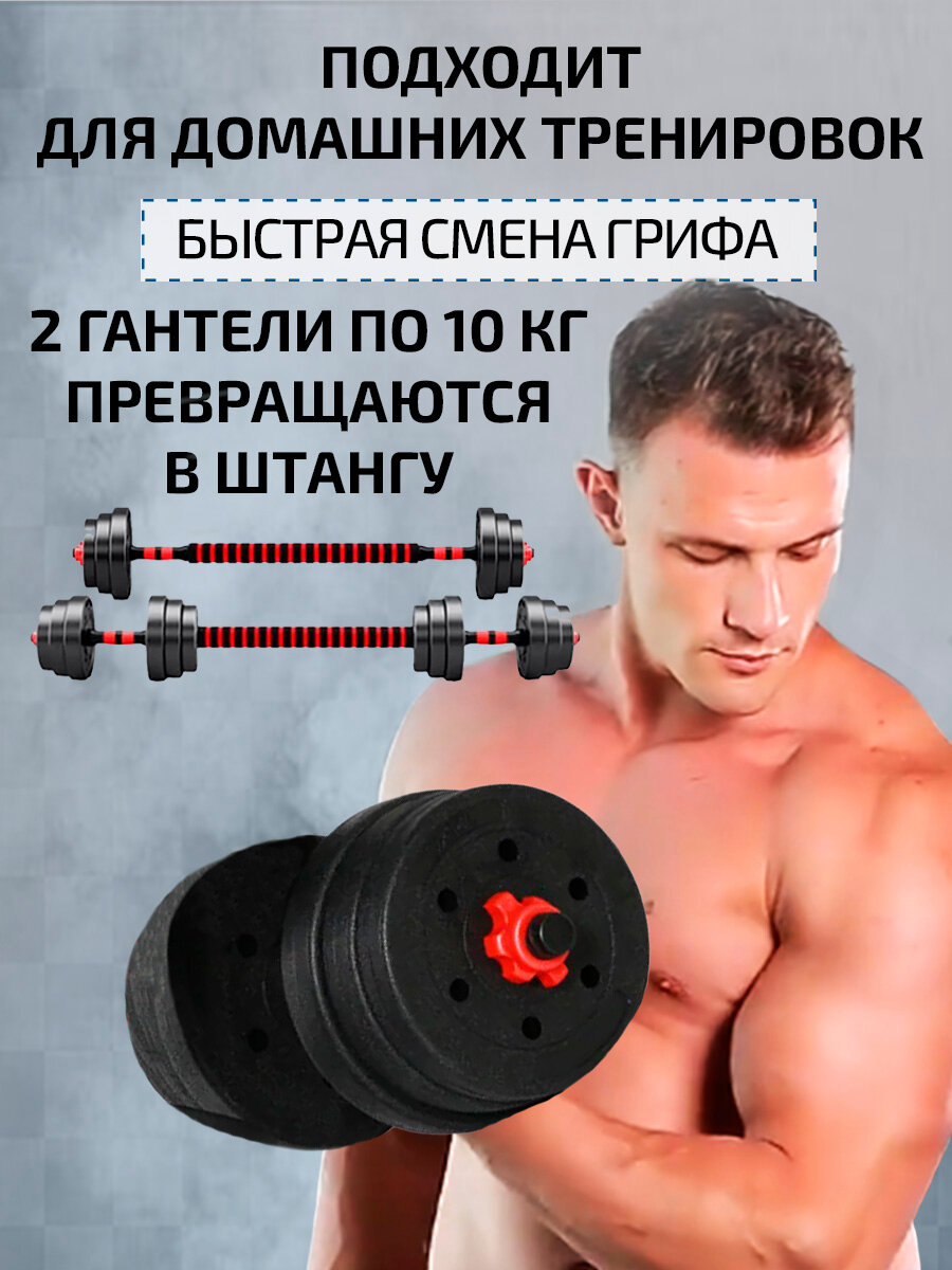 Гантели разборные 20 кг, 2 шт. по 10 кг с коннектором для штанги — фото 1