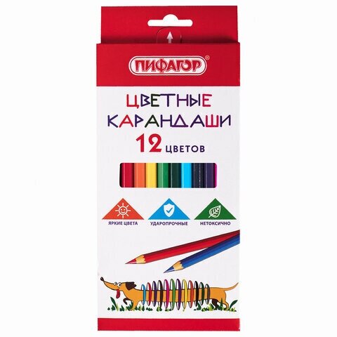 Карандаши цветные пифагор «Веселая такса», 12 цветов, классические, заточенные