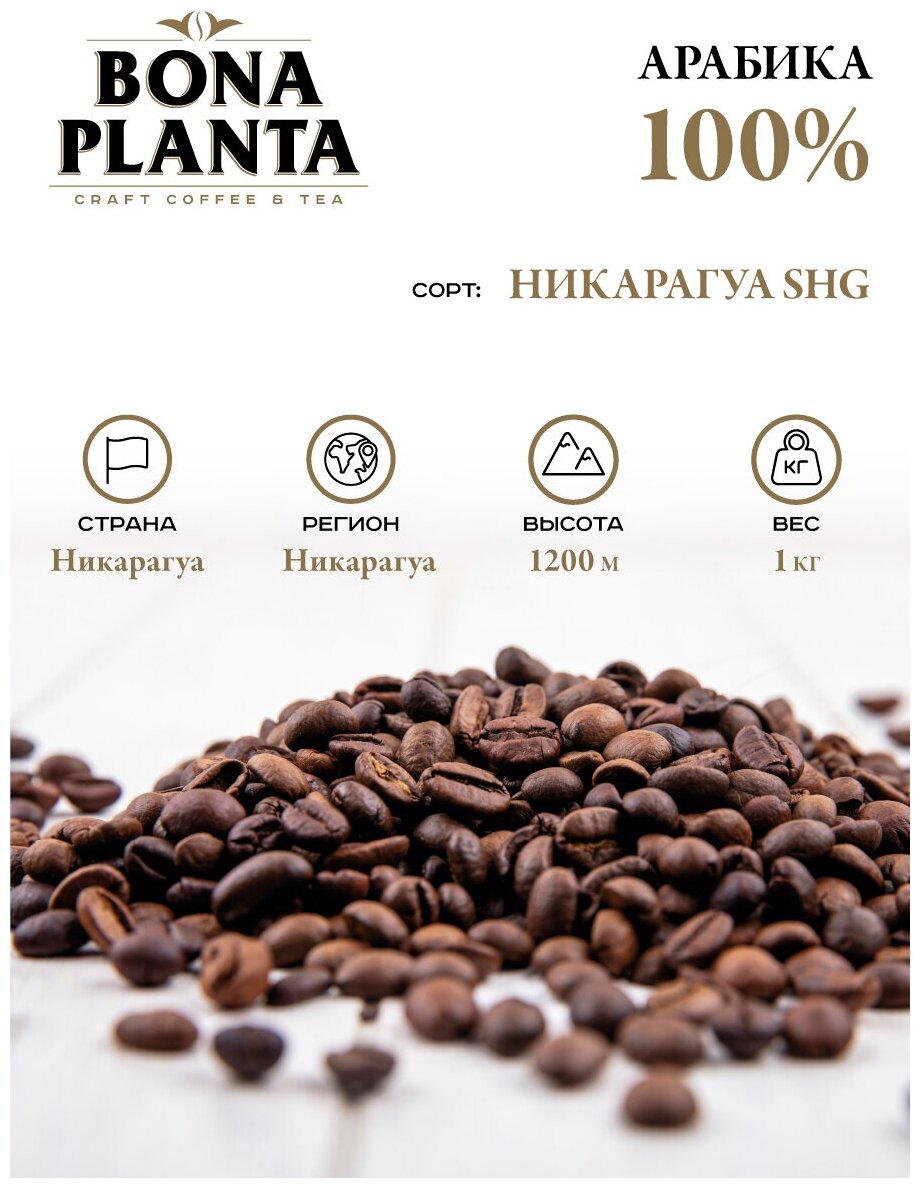 Кофе в зернах Никарагуа SHG, BONA PLANTA, PBC-NS1000, 1 кг. - фотография № 2