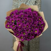 Букет из 7 пурпурных хризантем