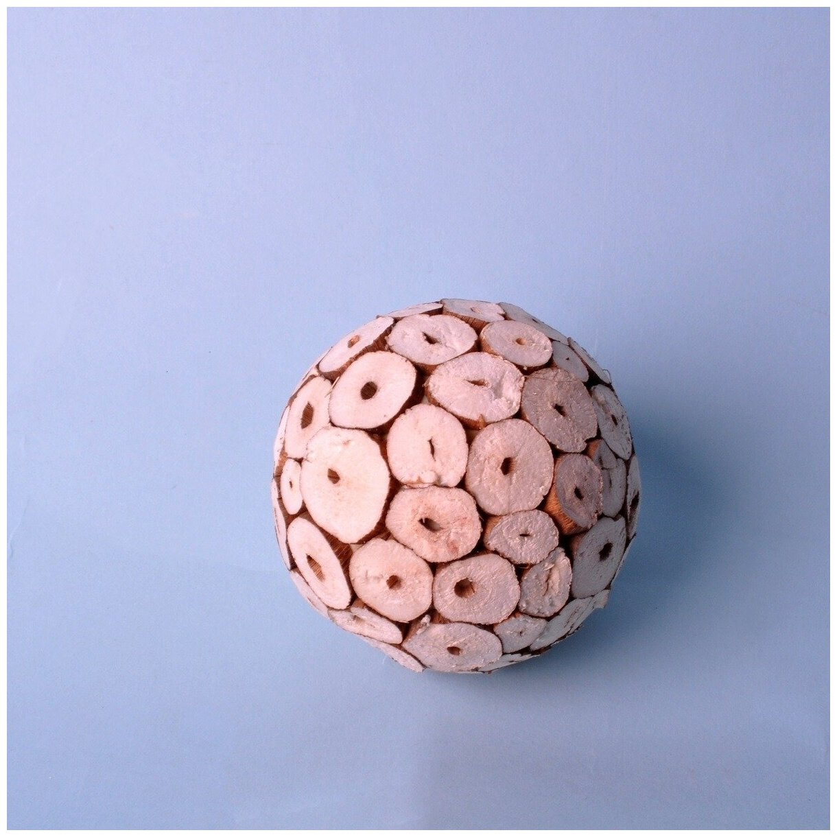 Сухоцвет шар Сола Лог натуральный 8 см, для декора