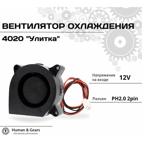 Вентилятор (кулер) 4020 12V радиальный / турбинный / центробежный / улитка вентилятор радиальный центробежный вентсистем vs1 85 220в 85вт