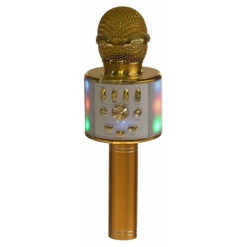 Микрофон для караоке LuazON LZZ-70, WS-868L, 5 Вт, 1800 мАч, корр голоса, подсветка, золотистый