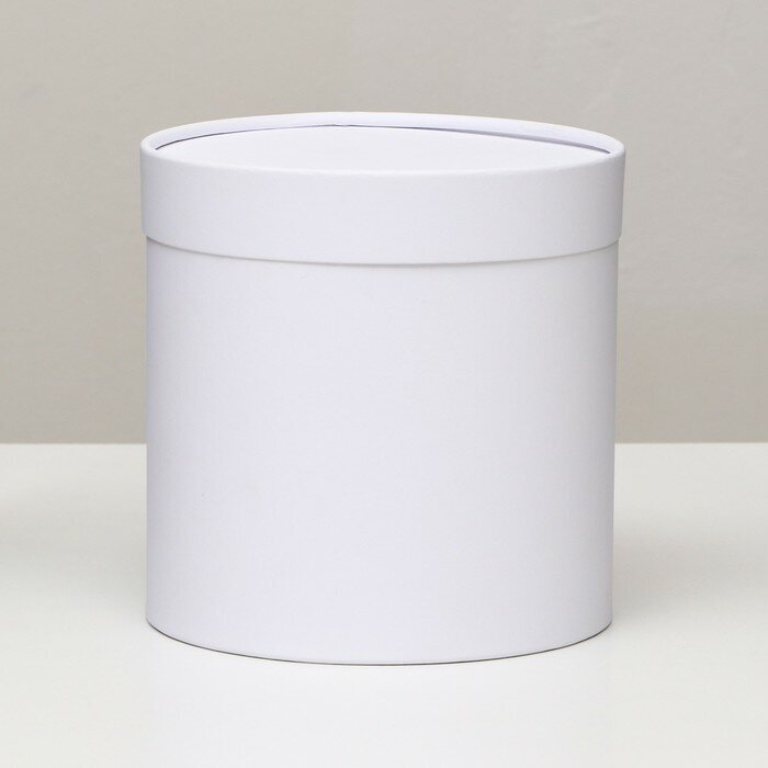Подарочная коробка White, завальцованная без окна, 18х18 см 9402622