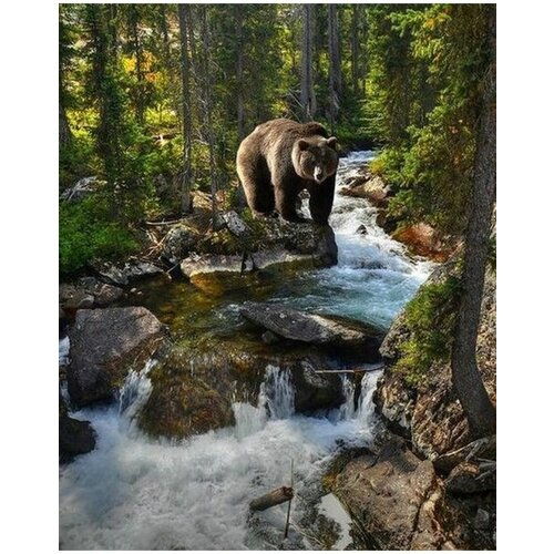 С Медведь у реки 40х50