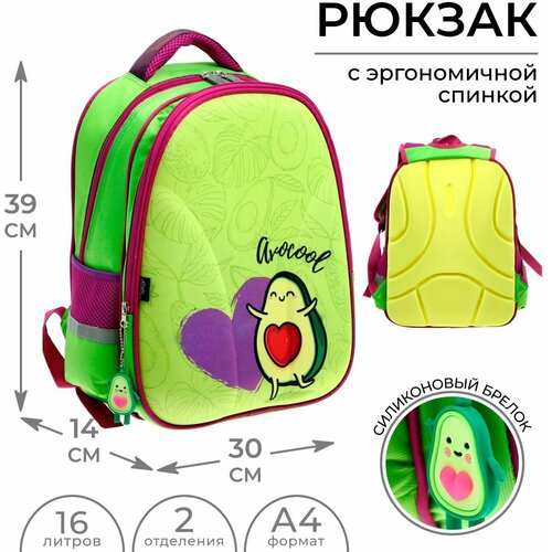 Рюкзак каркасный школьный Calligrata Avocool, 39 х 30 х 14 см