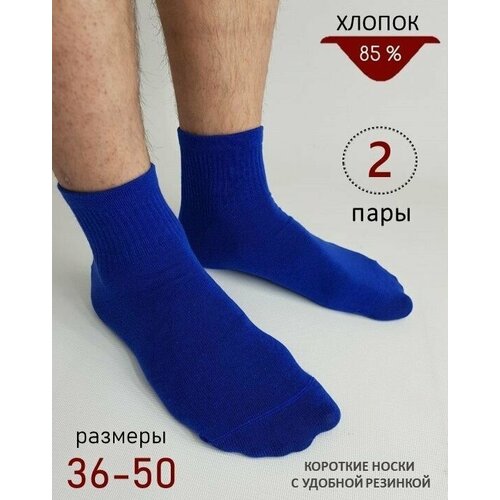 фото Носки biz-one, 2 пары, размер 42-43, синий