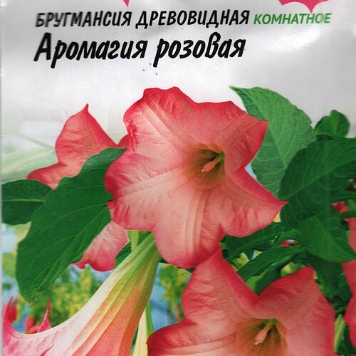 Бругмансия древовидная, Аромагия розовая, комнатный многолетник ( 1 уп: 3 семени ) семена бругмансия аромагия желтая 3 шт